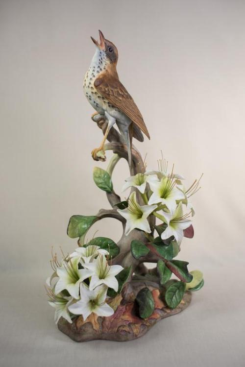 Image courtesy of the Lyndon Baines Johnson Library and Museum.