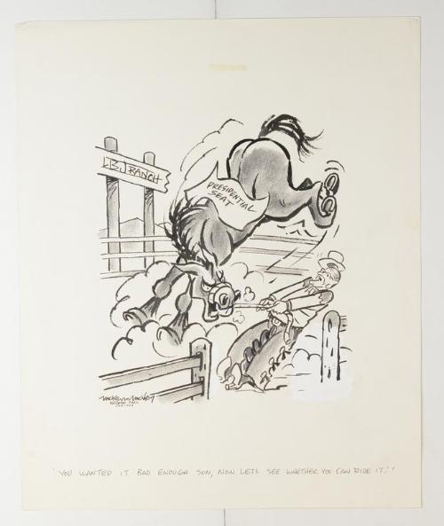 Image courtesy of the Lyndon Baines Johnson Library and Museum.