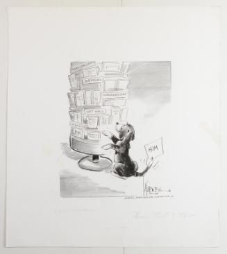 Image courtesy of the Lyndon Baines Johnson Library and Museum.