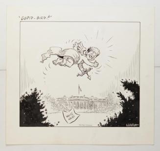 Image courtesy of the Lyndon Baines Johnson Library and Museum.