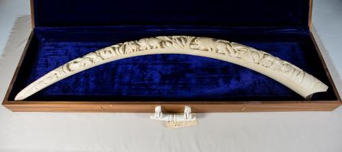 Image courtesy of the Lyndon Baines Johnson Library and Museum.